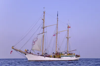 Zawisza Czarny