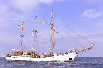 Zawisza Czarny