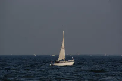 Żagle 2011
