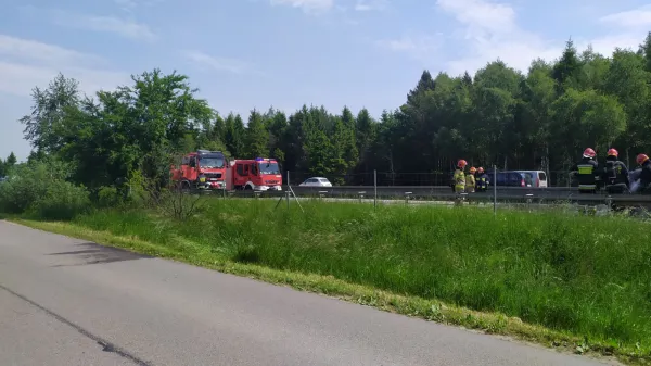 Strażacy gaszą pożar auta na obwodnicy