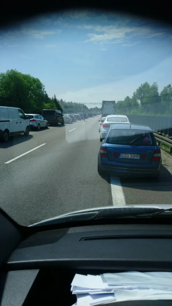 Tunel życia na obwodnicy
