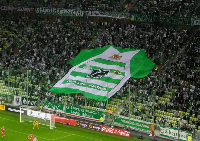 12 ZAWODNIK