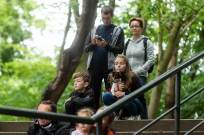 Publiczność