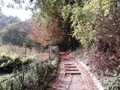 Biskupia Górka