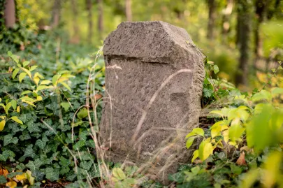 Dawny cmentarz krematoryjny na Górze Szubienicznej w Gdańsku
