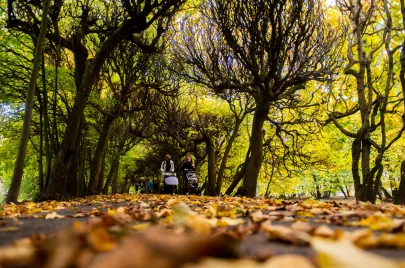 22.10.2020   Piękna jesień w Parku Oliwskim w Gdańsku