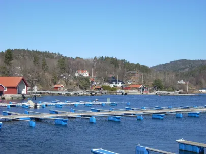 Norwegia