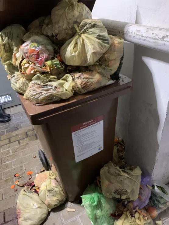 Nie wywożą śmieci bio w Sopocie