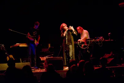 The Legendary Pink Dots