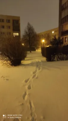 Zasypana dzielnica na Karwinach