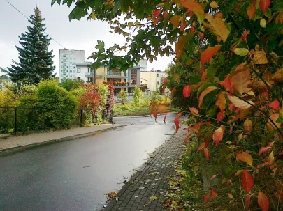 Jesień w mieście