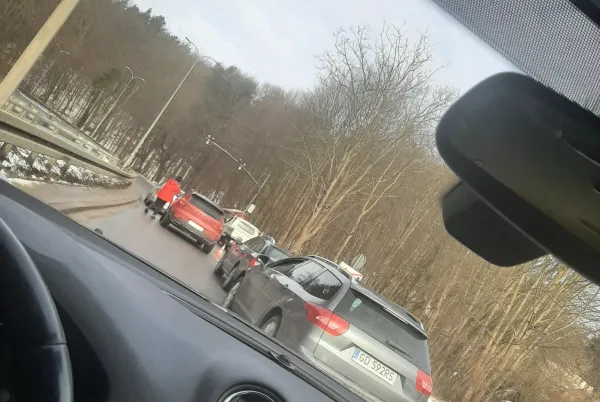 Wycinka drzew na Słowackiego, tworzy się duży korek