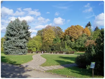 Kamienna Gora