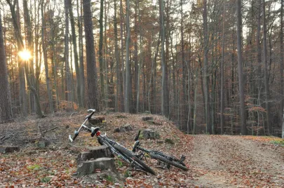 rowerowo