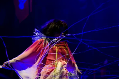 Bjork