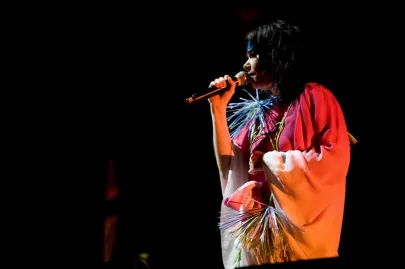 Bjork