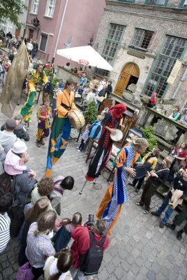Firebirds : Medieval Parade