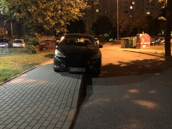 Jak oni parkują?