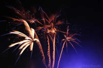 Sylwester 2011