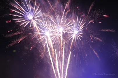 Sylwester 2011