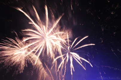 Sylwester 2011
