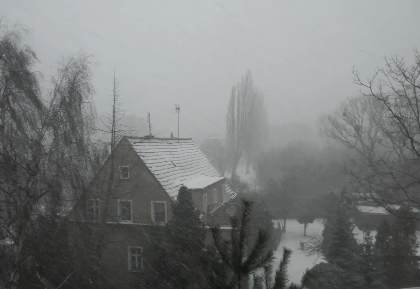 zadymka 13.01.2012