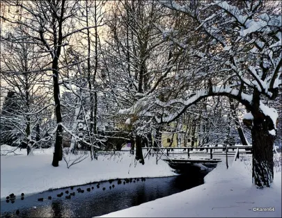 Zima w Parku Oliwskim