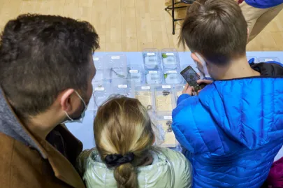 Terra Expo - targi terrarystyczne w Ergo Arenie