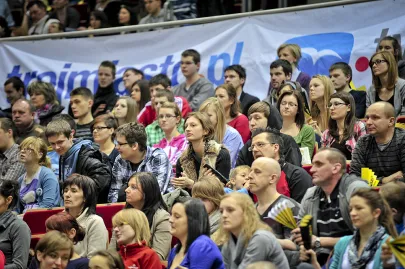 Kibice