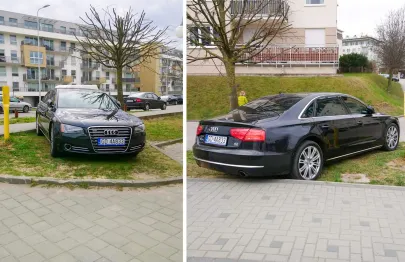 Audi ledwo zmieściło się na trawniku