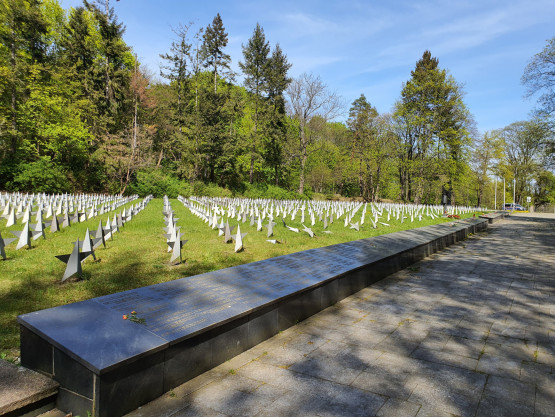 Zdewastowany cmentarz Żołnierzy Radzieckich w Gdańsku