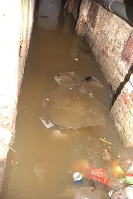 Reduta Żbik. Zalana piwnica, ignorancja zarządcy budynkiem