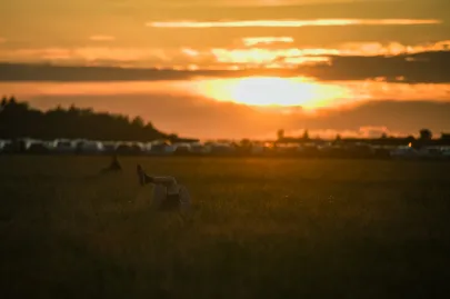 Pierwszy dzień Opener Festiwalu 