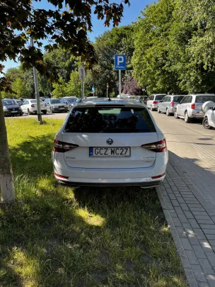 Mistrzowie parkowania