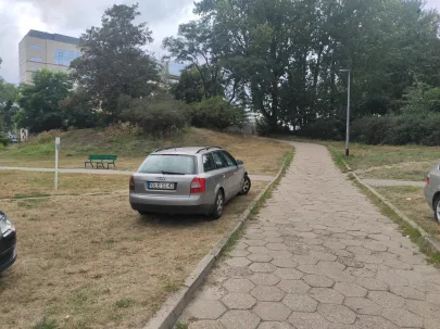 Zaparkował na trawie