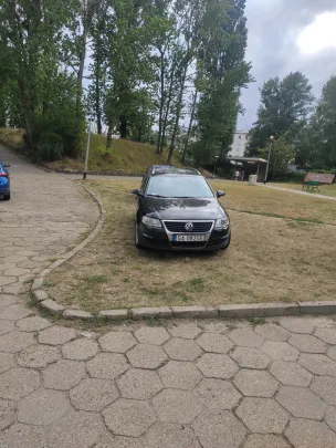 Zaparkował na trawie
