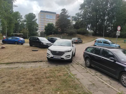 Zaparkował na trawie