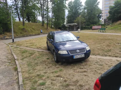 Zaparkował na trawie