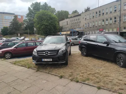 Zaparkował na trawie