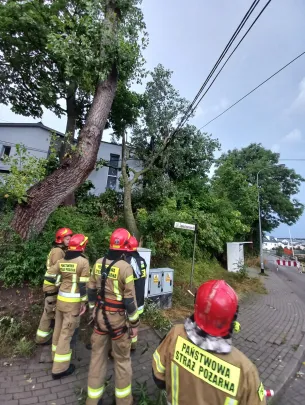 Zwierzyniecka Gdańsk Jasień