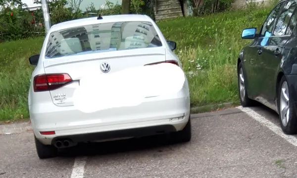 Mistrz parkowania 