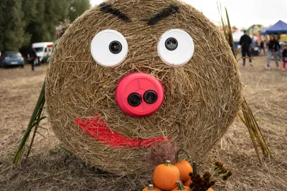 Święto Kapusty - Dożynki Gdańskie
