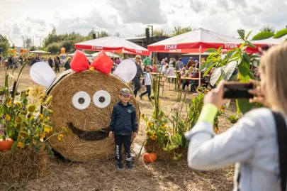 Święto Kapusty - Dożynki Gdańskie