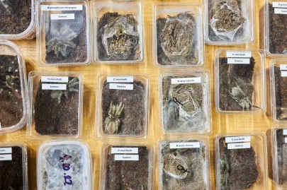 Pomorskie Targi Terrarystyczne Terra Expo