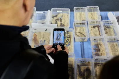 Pomorskie Targi Terrarystyczne Terra Expo