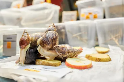 Pomorskie Targi Terrarystyczne Terra Expo
