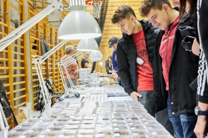 Pomorskie Targi Terrarystyczne Terra Expo
