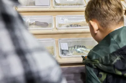 Pomorskie Targi Terrarystyczne Terra Expo