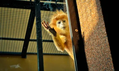 Oh hello!