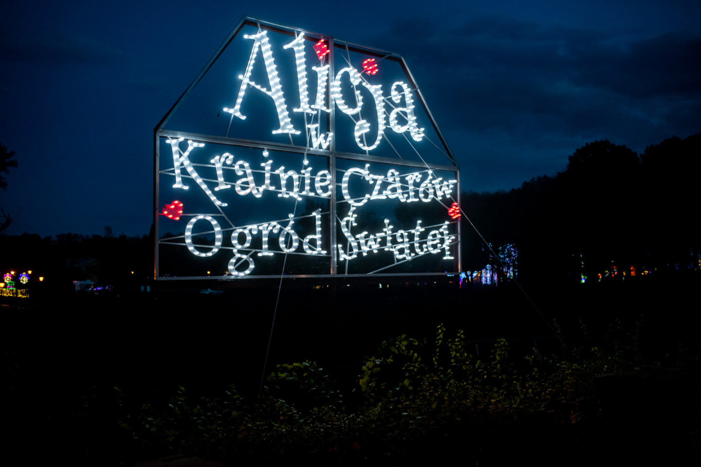 Ogród Świateł - Alicja w Krainie Czarów w Parku Kolibki w Gdyni